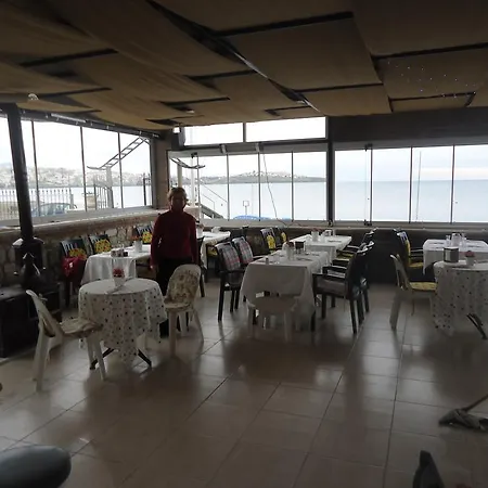 מוטל Bells Beach Hotel *